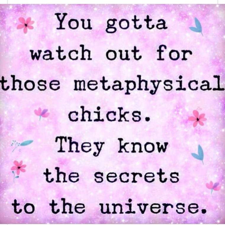 METAPHYSICAL CHICKS.JPG
