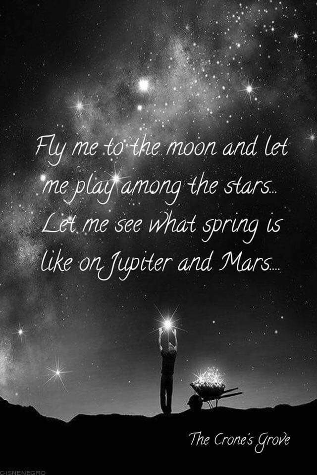 FLY ME TO THE MOON.JPG