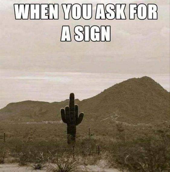 ASK FOR A SIGN.jpg