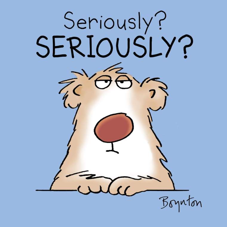 SB SERIOUSLY.JPG
