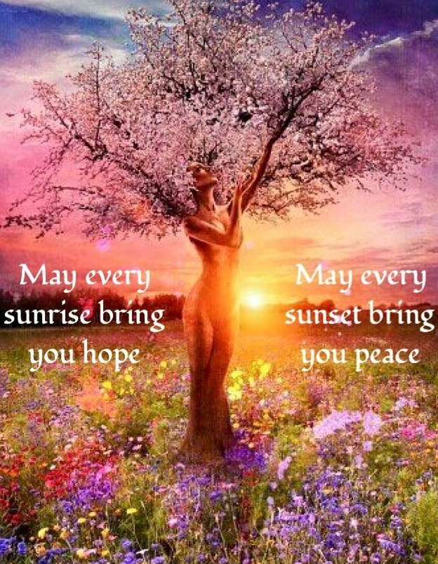 MAY EVERY SUN