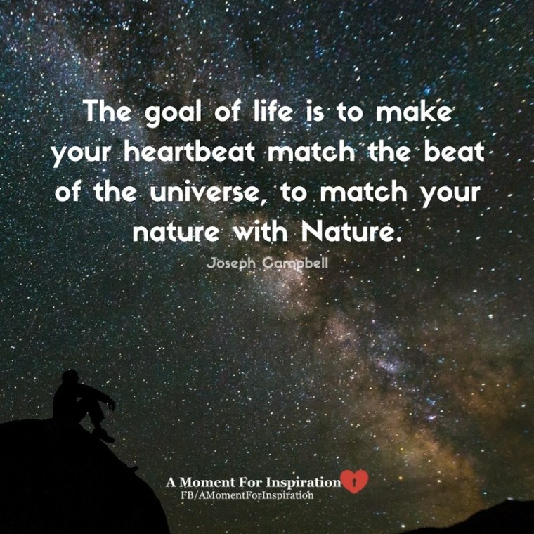 UNIVERSAL HEARTBEAT.JPG