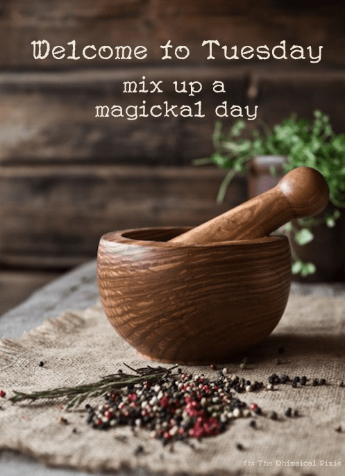 WELCOME TO TUESDAY.png