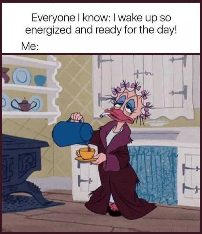 NOT AMORNING DUCK.jpg