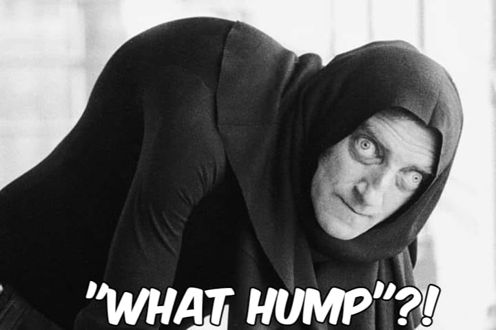WHAT HUMP.jpg