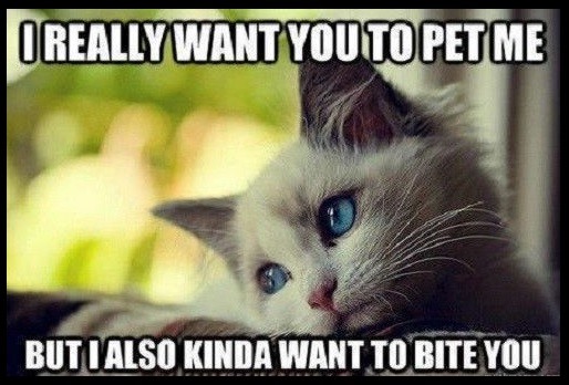 PET ME BITE YOU.jpg