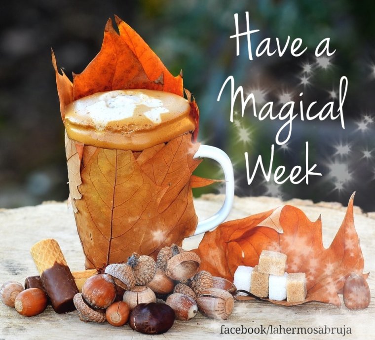 MAGICAL WEEKEND AUTUMN EDITION.jpg