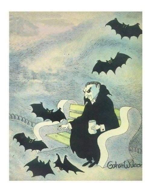 FEEDING THE BATS.JPG