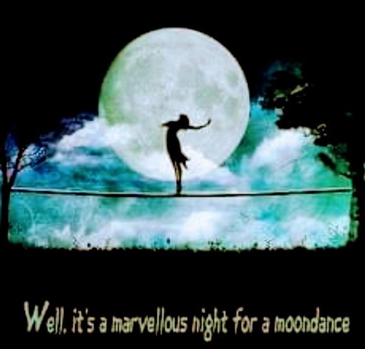 MOONDANCE NIGHT