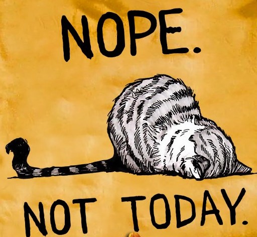 NOPE NOT TODAY.jpg