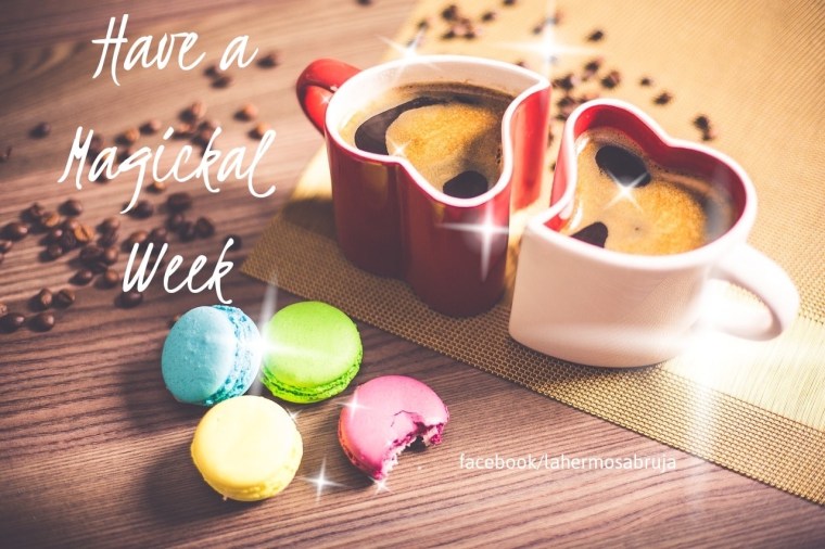 MAGICAL WEEK.JPG