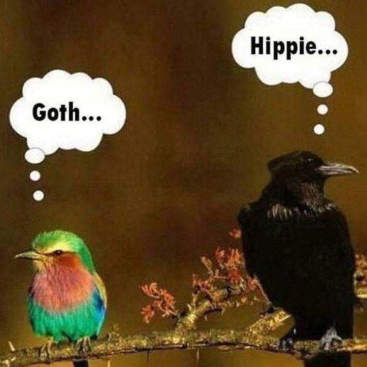 HIPPIE GOTH.JPG