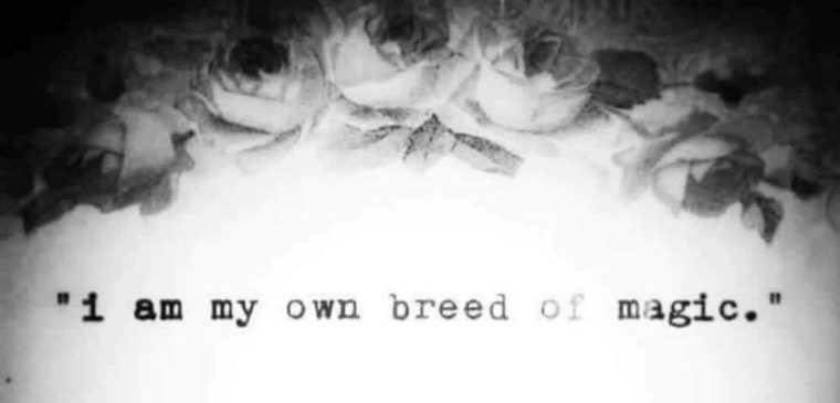 MY OWN BREED