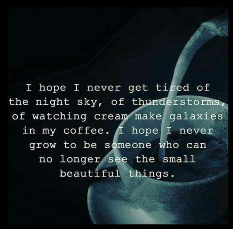 SMALL BEAUTIFUL THINGS.JPG