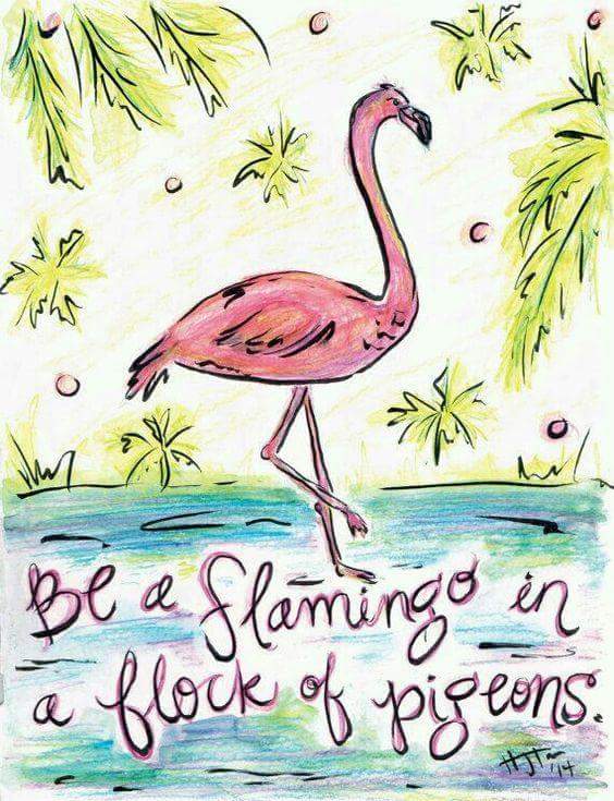 BE FLAMINGO