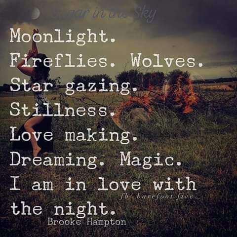 IN LOVE WITH THE NIGHT