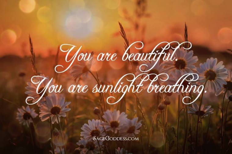 YOU ARE SUNLIGHT