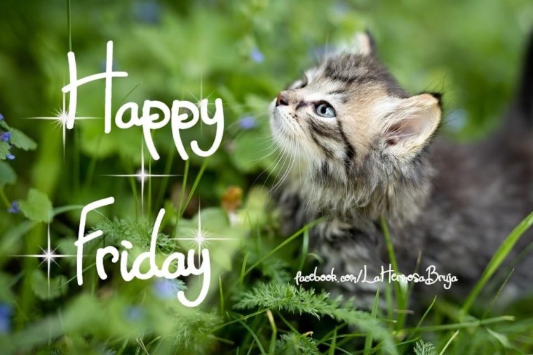 HAPPY FRIDAY.JPG
